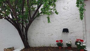 A tree with green leaves, a white wall, and three potted red flowers. - Appartamento al mare ad Ugento nel Salento (Ugento)