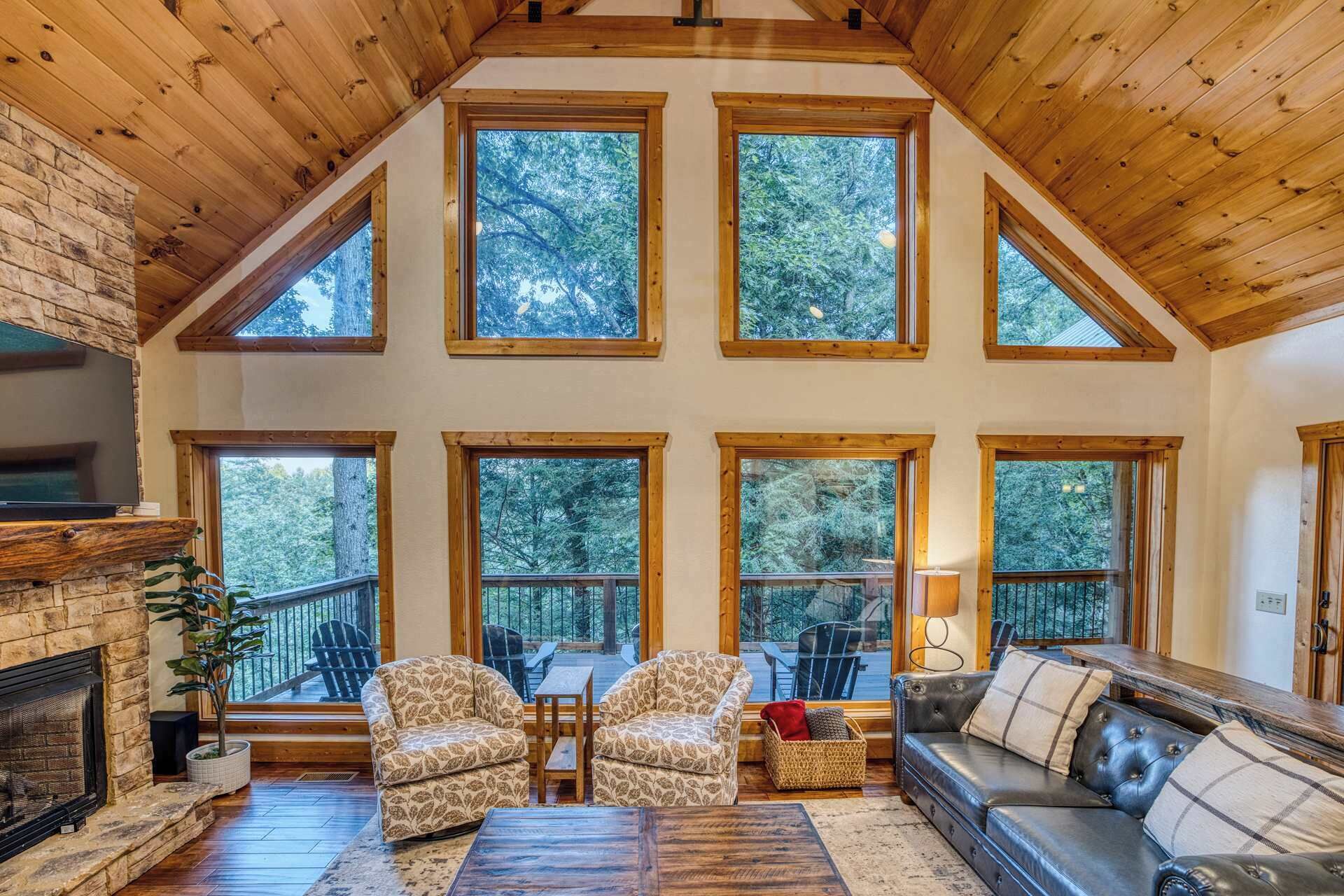 TV, fireplace, offices