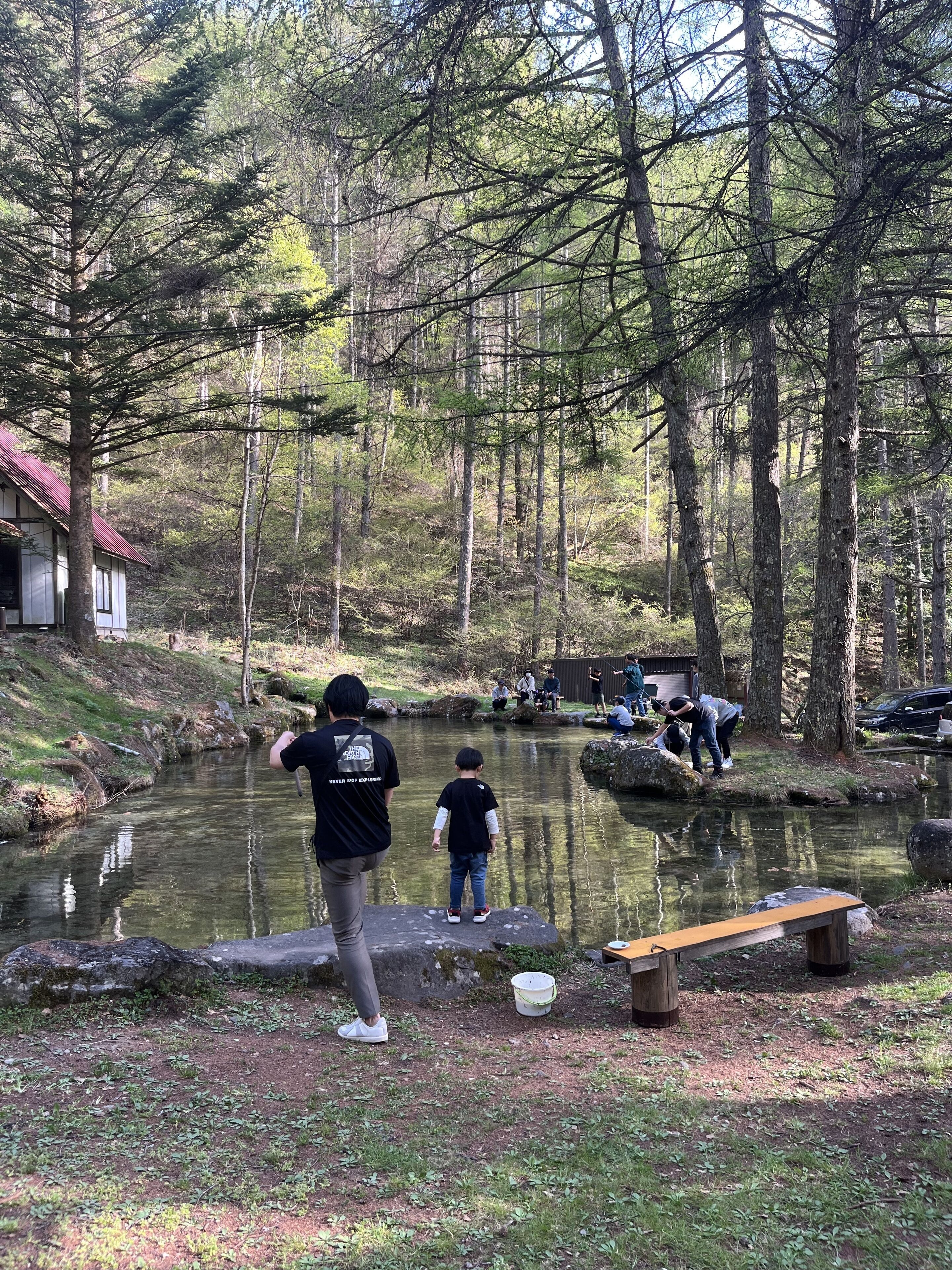 A natural setting with a pond, trees, and a wooden bench.