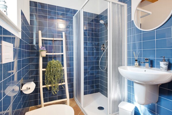 Shower, hair dryer, towels