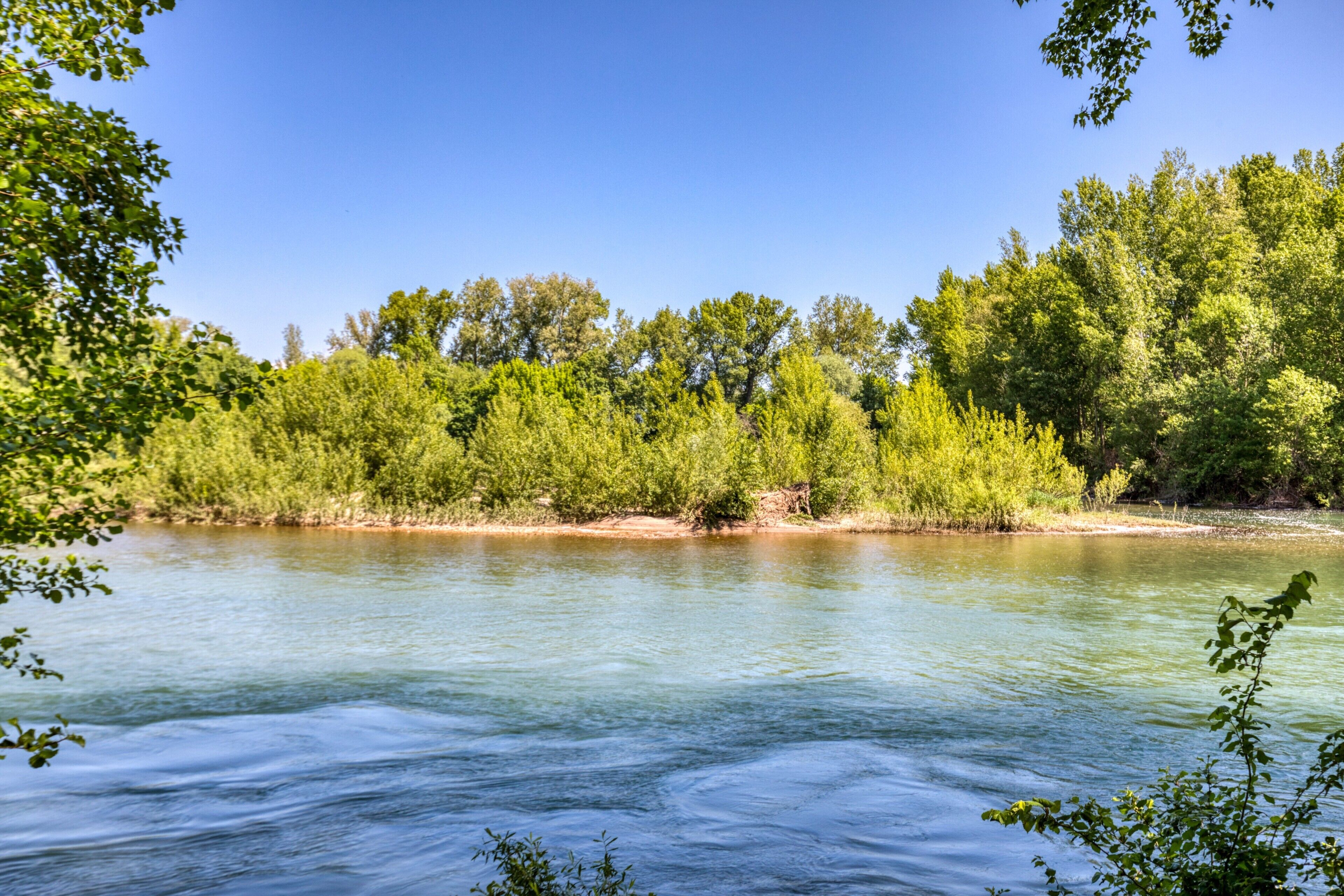 Une rivière aux eaux limpides, bordée d’arbres verdoyants et dense, sous un ciel bleu azur.