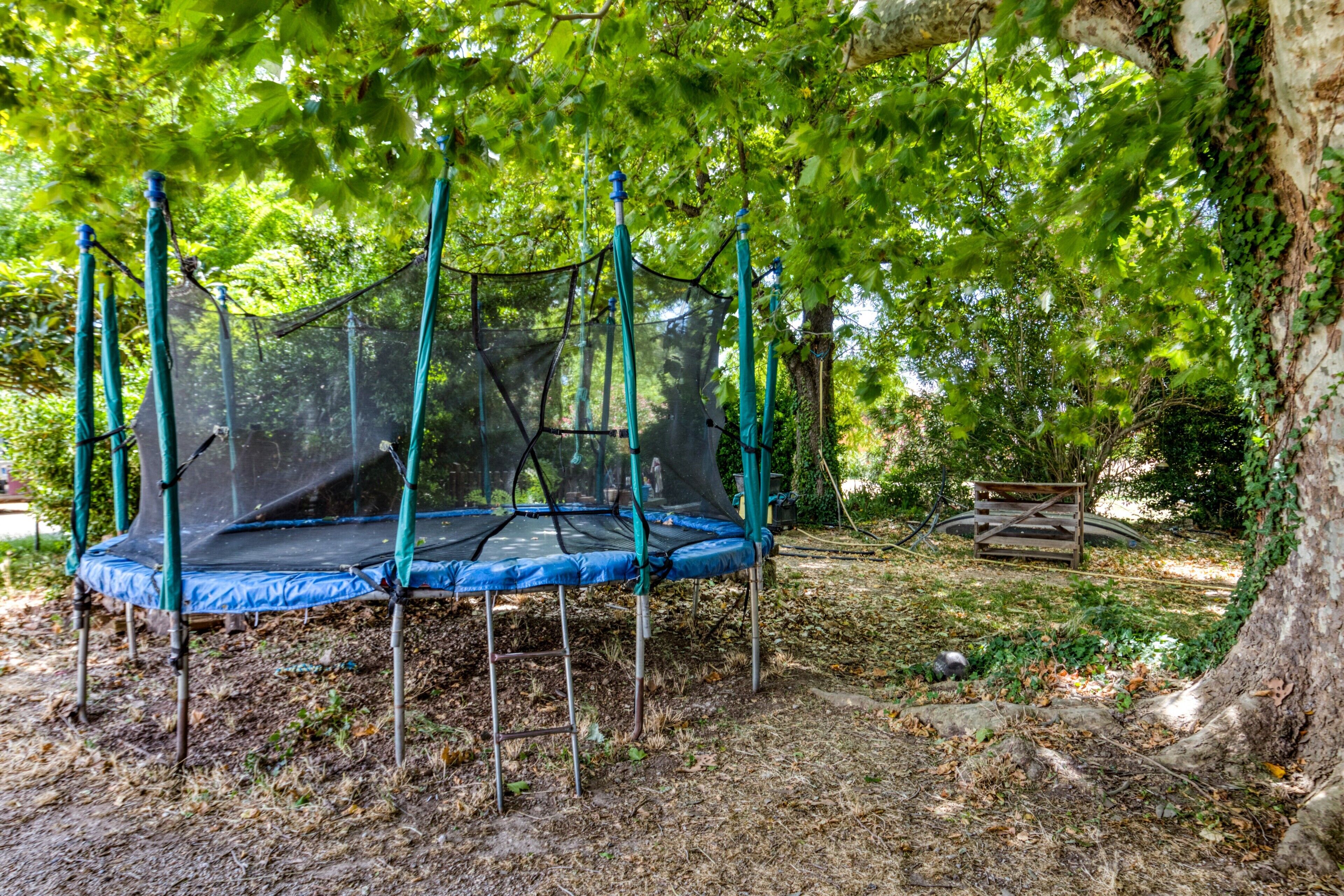 A trampoline under a tree in a park.