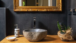 Un baño con un lavabo de piedra, un espejo con marco dorado, un dispensador de jabón y una planta de cactus.