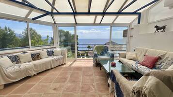 Televisión y chimenea