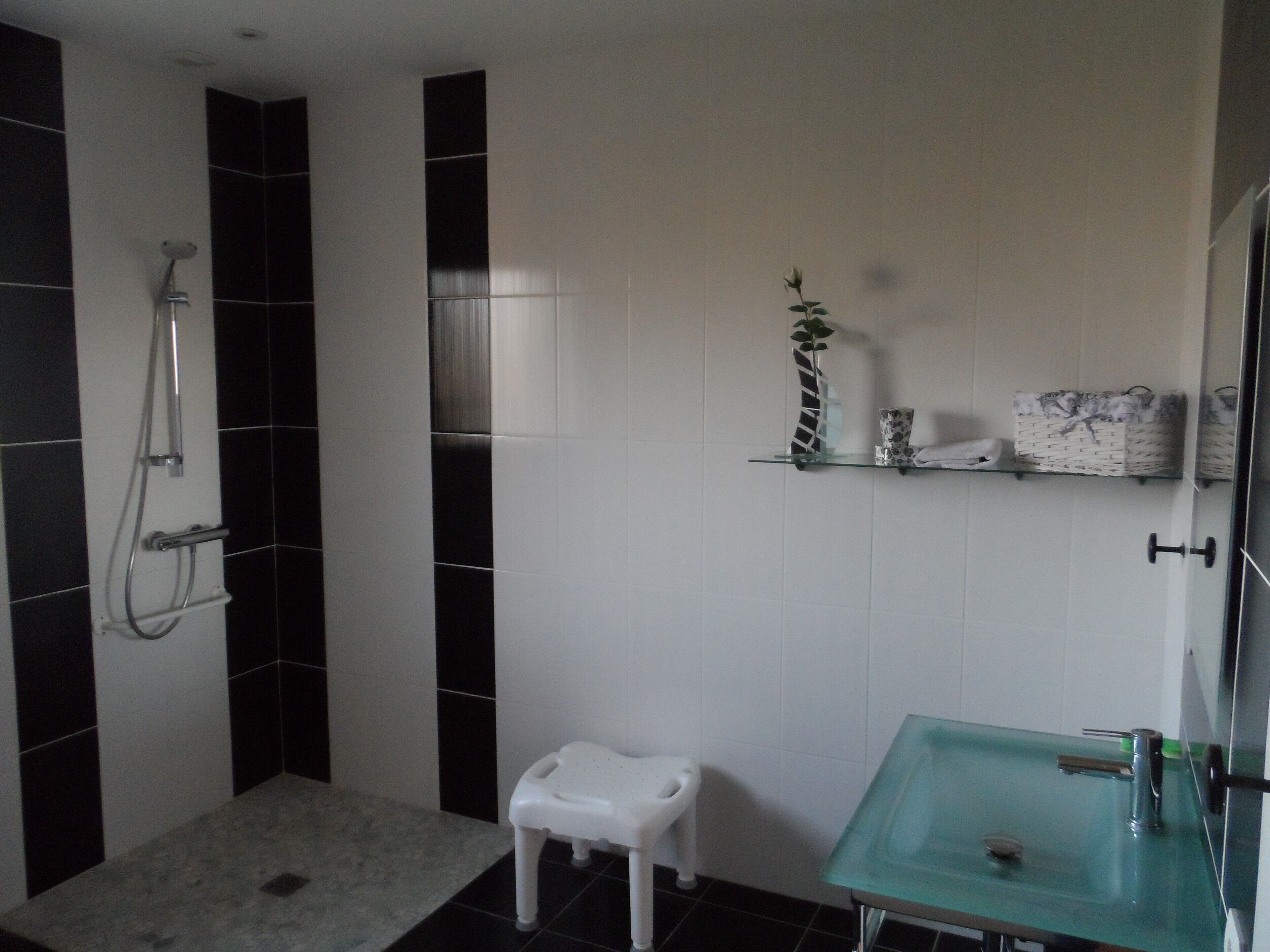 Baignoire, sèche-cheveux