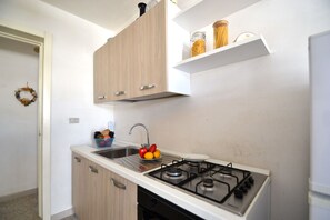 Fridge, stovetop, cookware/dishes/utensils