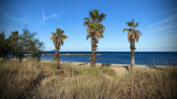 A beach with palm trees and a clear blue sky. - Port-fréjus, LE Consul, Appartement 2 Pièces Climatisé, Terrasse & Parking (Fréjus)