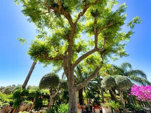 Área da propriedade