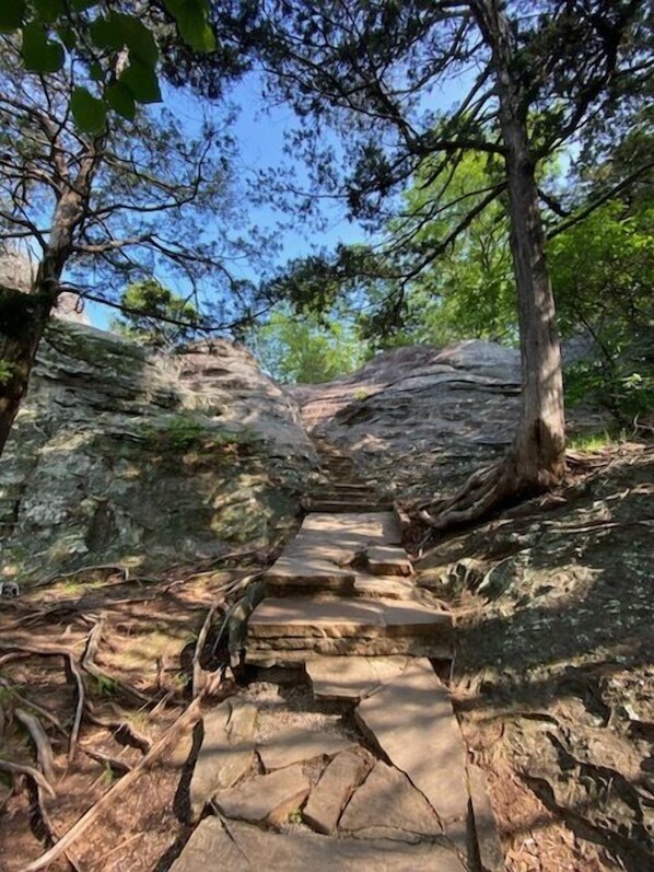 A stone staircase leading up a rocky path surrounded by trees.