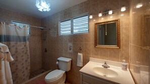 Shower, hair dryer, bidet, towels