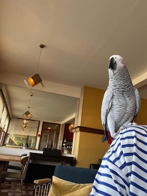 Dining - La maison des galets  (Saint-Valery-en-Caux)