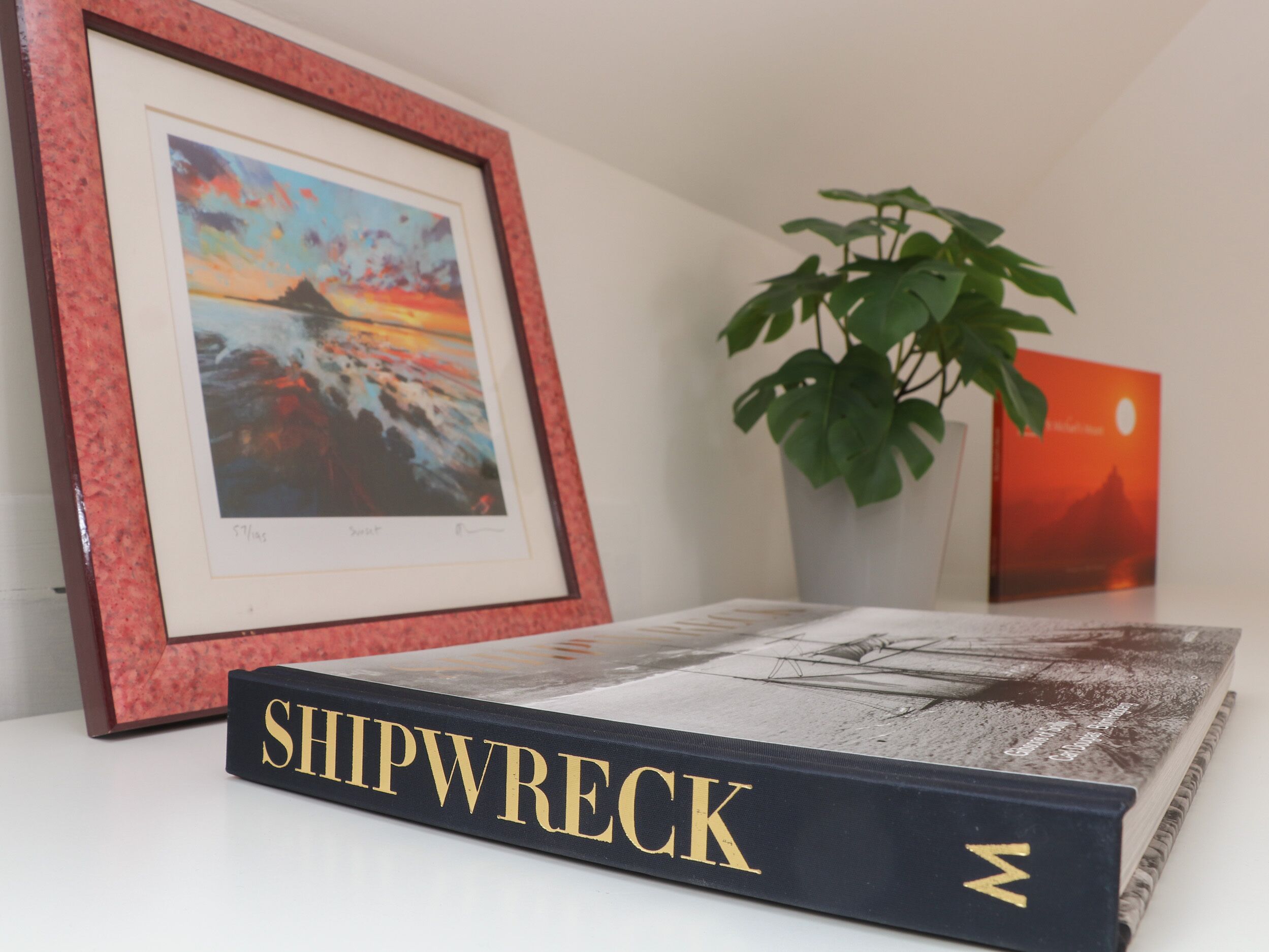 Un libro con el título 'SHIPWRECK' sobre una mesa, con un cuadro enmarco y una planta en maceta al fondo.
