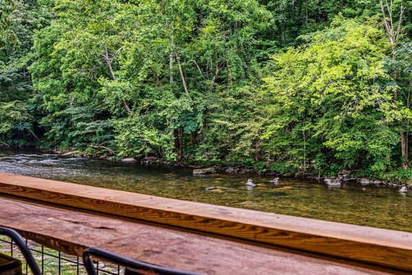 Property grounds - Moon River: Riverfront w/Grill + Fire Pit | Close to GSMNP! (Walland)