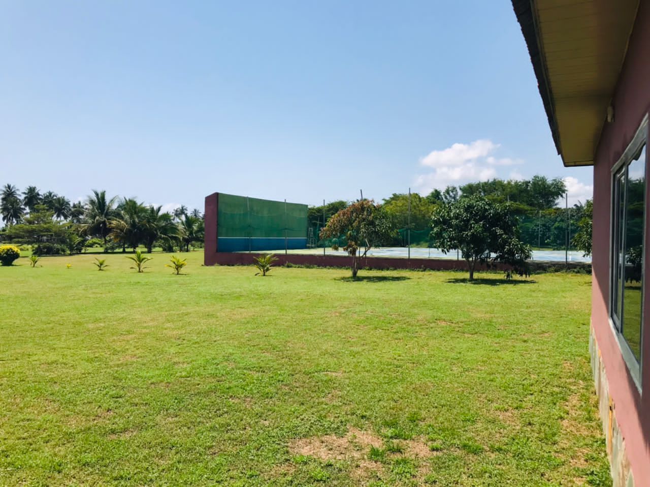Un espacio verde con un edificio al fondo.
