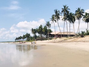 Privat strand, parasoller, strandhåndklær og sandvolleyball
