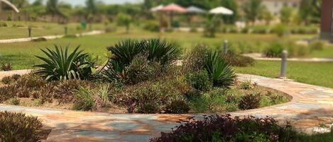 Un sendero de piedra en un jardín ajardinado con diversas plantas y una vista distante de edificios.