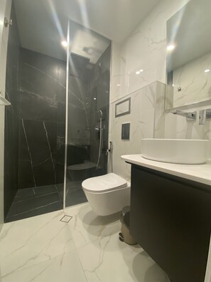 Regadera, regadera tipo lluvia, secadora de cabello, bidet 