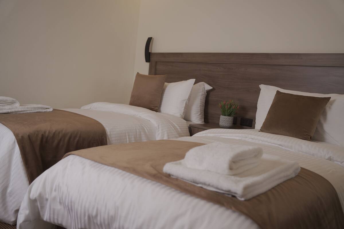 A hotel room with two beds, each with white linens and brown headboards. There is a small bedside table with a plant and a lamp.