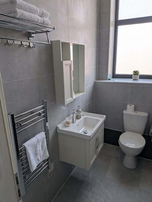 Shower, hair dryer, towels, shampoo