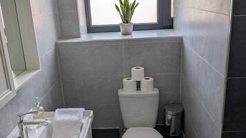 Shower, hair dryer, towels, shampoo