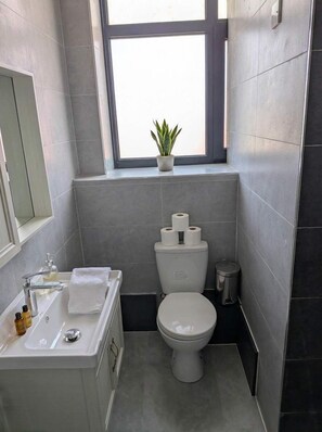 Douche, sĂšche-cheveux, serviettes fournies, shampoing