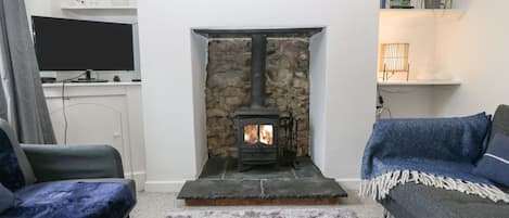 TV, fireplace