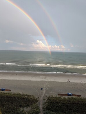 On the beach - Gorgeous Ocean Views in a Fun Tropical Resort  (North Myrtle Beach)