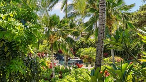 A lush garden with a pool, surrounded by various tropical plants and palm trees. - Mauna Lani Beach Club Pass included!  Palm Villas B4 (Waimea)