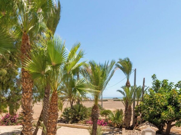 A landscaped garden with palm trees, a stone pathway, and a view of the beach.