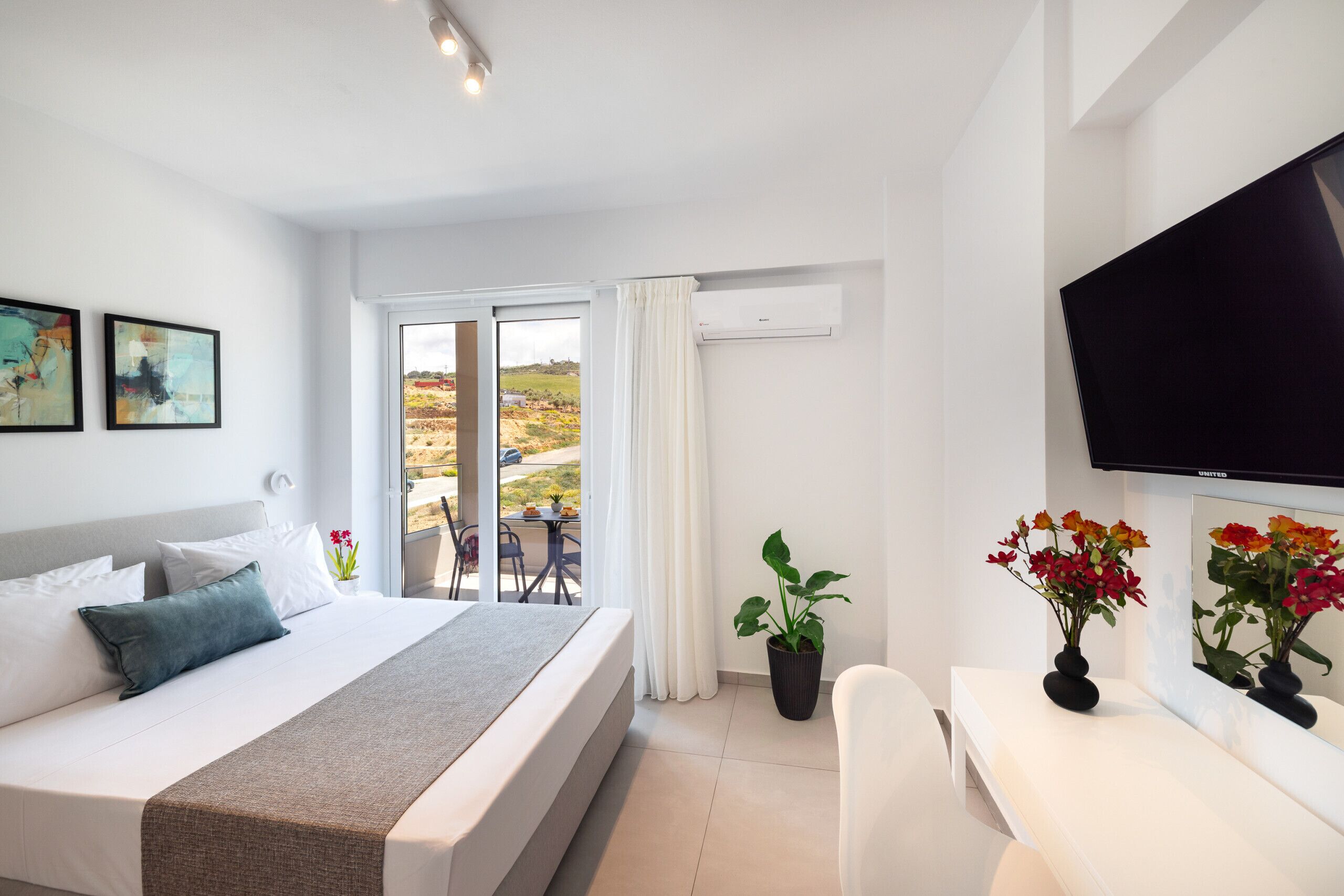 Camera d'albergo moderna con un letto grande, una TV a schermo piatto, una pianta in vaso e vista all'esterno.