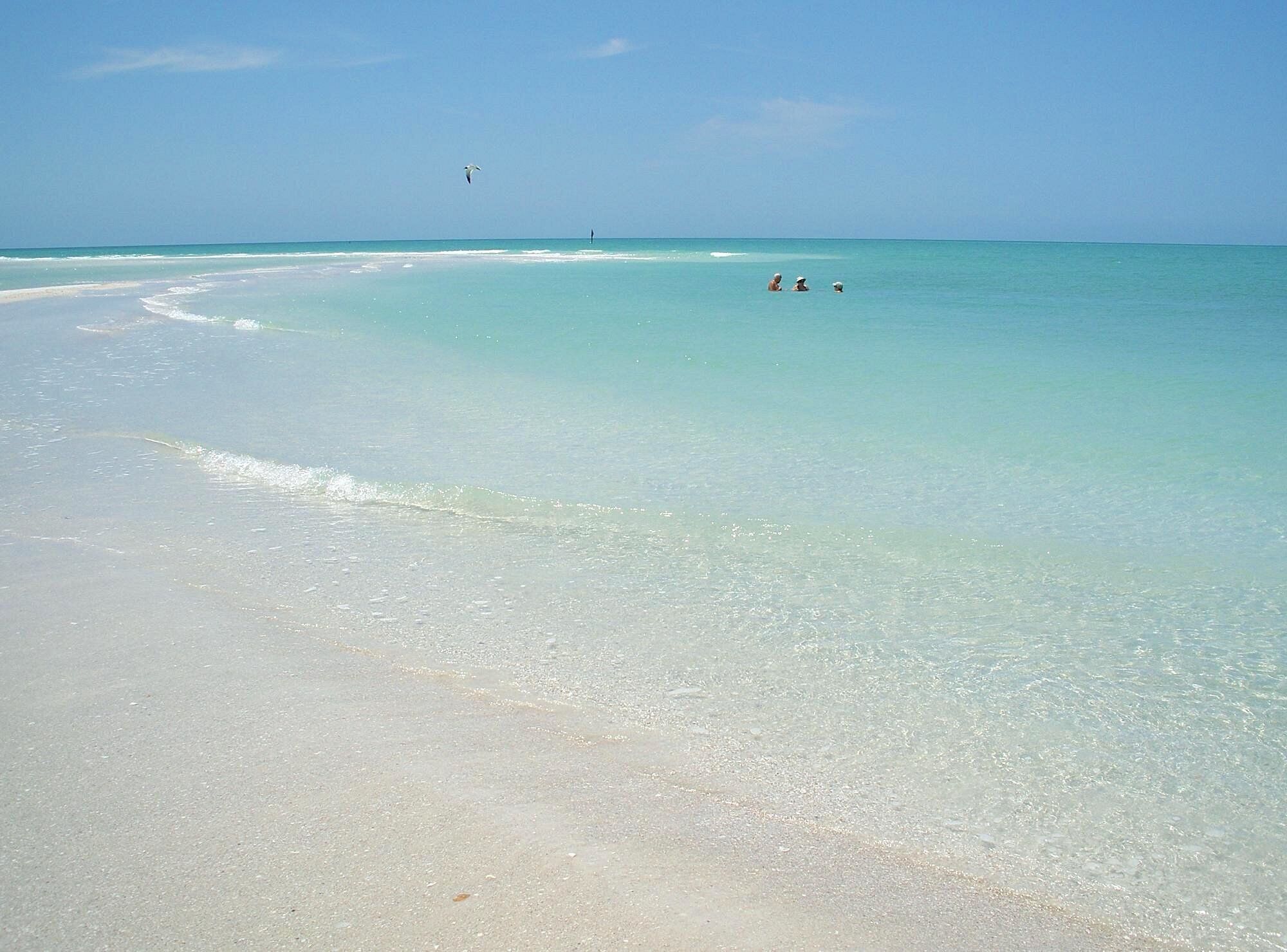 Siesta Key sandbars and cays, Siesta Key 1BR