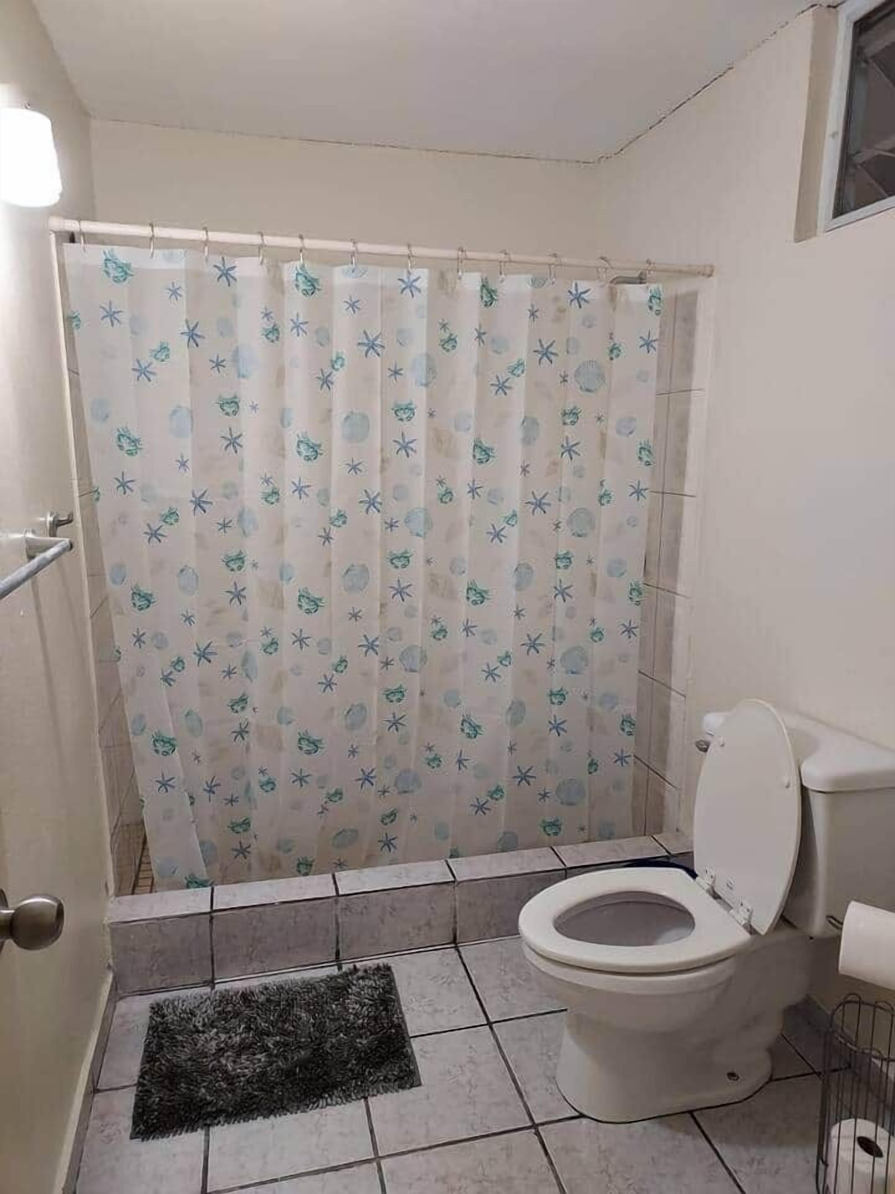 Shower, hair dryer, soap, shampoo