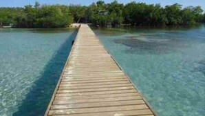 A wooden pier extending into clear blue water, surrounded by lush greenery.