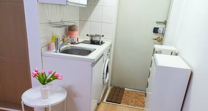 Cozy & beautiful house 4-minutes walk from Sadang station