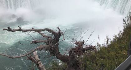 THE CROWN PEARL OF NIAGARA FALLS