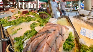Exhibición de mariscos con distintos tipos de pescado y verduras.