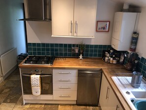 Private kitchen - 3 month let in very large garden flat in funky Peckham Rye (London)