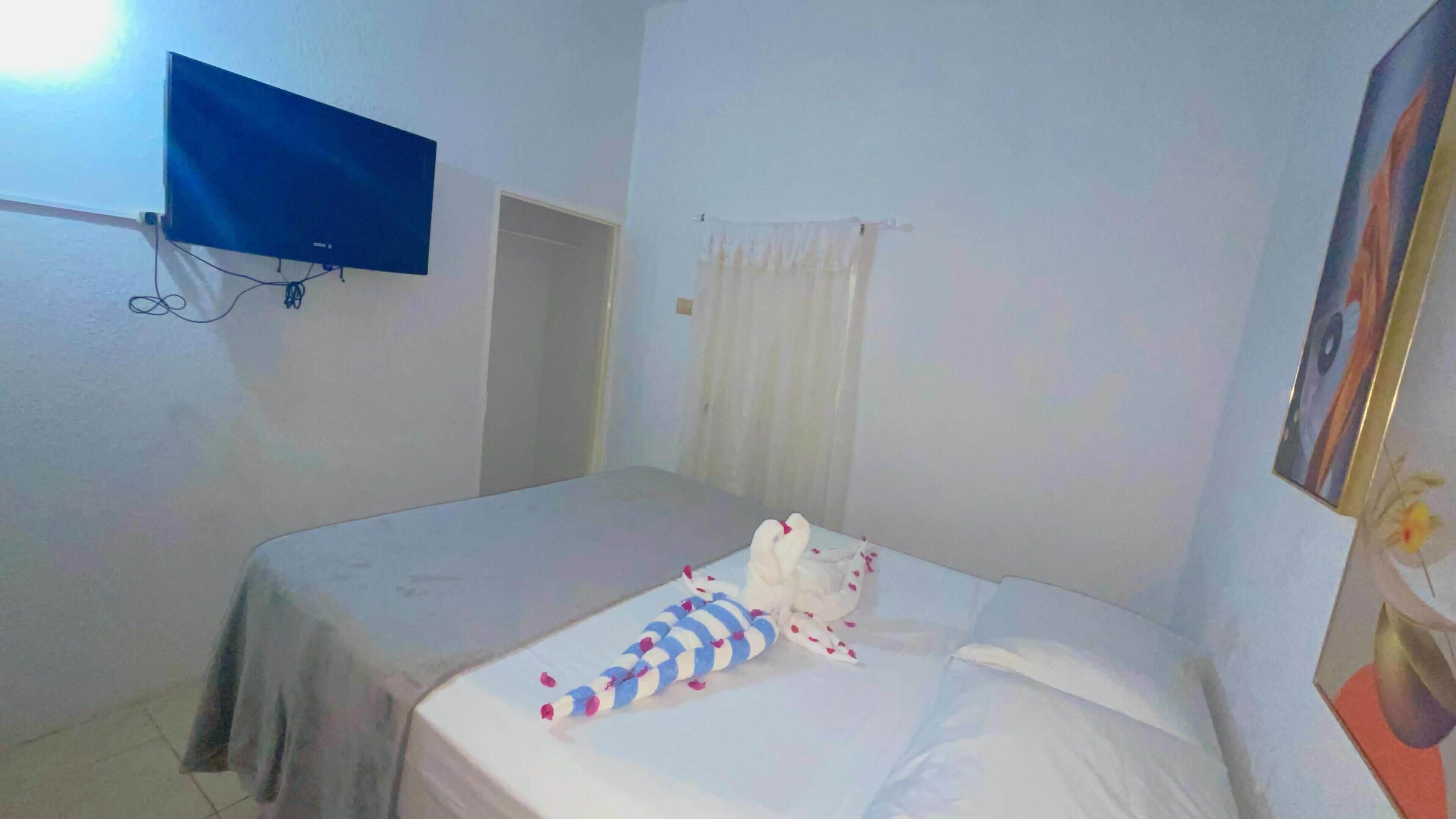 Habitación individual con una cama, televisor de pantalla plana montado en la pared, una puerta y una ventana con cortinas de encaje.