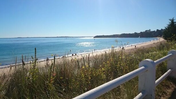 A beach with a clear view of the sea, a sandy shore, and a grassy area with a metal railing.