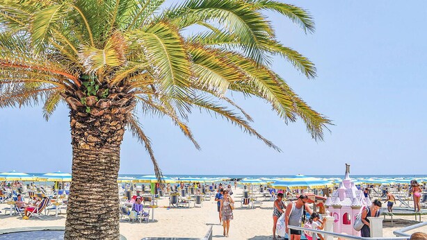 Una playa con palmeras, tumbonas y sombrillas.