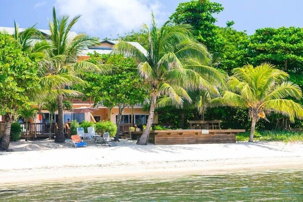 Una propiedad frente a la playa con palmeras, una playa arenosa y un edificio con terraza.