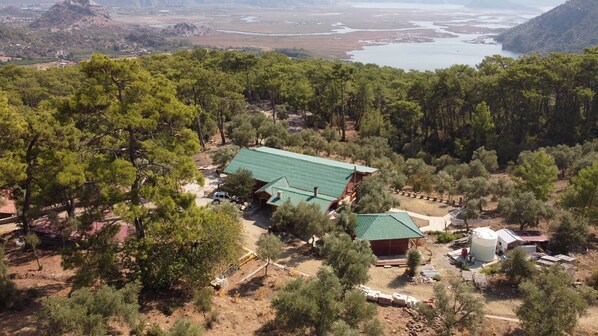 Uma casa com telhado verde rodeada por pinheiros densos, com vista para um lago e montanhas ao fundo.