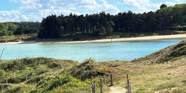 Een strand met helder water, een zandrijk strand en een bebost gebied op de achtergrond.