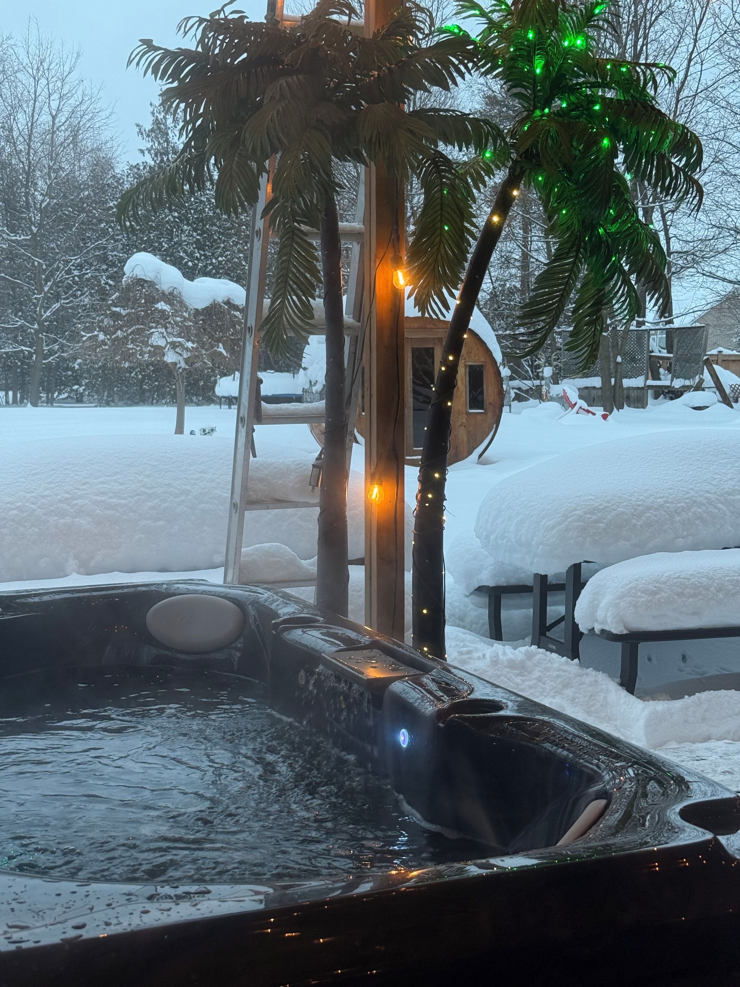 Un bain à remous doté d’une terrasse en bois, entouré d’un paysage enneigé et d’arbres.