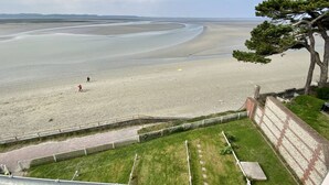 Un paisaje costero con una playa de arena, una zona cubierta de hierba y un árbol.