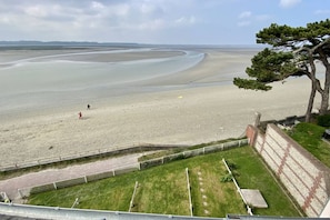 A coastal landscape with a sandy beach, a grassy area, and a tree.