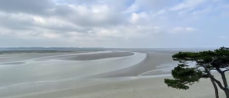 Plage à proximité, serviettes de plage