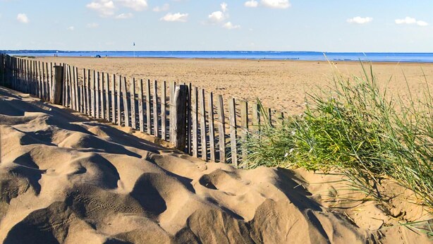 Una playa arenosa con una valla de madera y algo de hierba al frente.