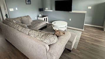 Smart TV, fireplace