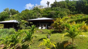 Un bungalow doté d’un toit de chaume, entouré d’une végétation luxuriante et de palmiers.